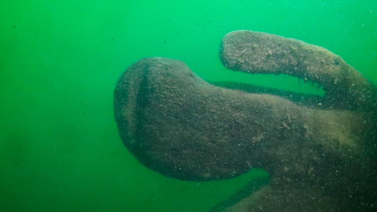 This Tuesday, Sept. 4, 2018, photo provided by Cleveland Underwater Explorers Inc. shows the remains of a shipwreck found in the Ohio waters of Lake Erie. Shipwreck hunters and marine archaeologists say the wreckage found in 2015 is most likely from a sailing ship that went down nearly two centuries ago. The discovery would make it the oldest ever found in the lake.