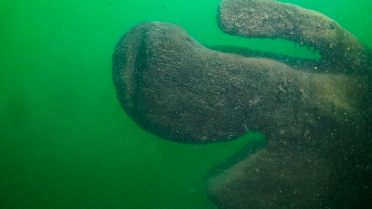 This Tuesday, Sept. 4, 2018, photo provided by Cleveland Underwater Explorers Inc. shows the remains of a shipwreck found in the Ohio waters of Lake Erie. Shipwreck hunters and marine archaeologists say the wreckage found in 2015 is most likely from a sailing ship that went down nearly two centuries ago. The discovery would make it the oldest ever found in the lake.