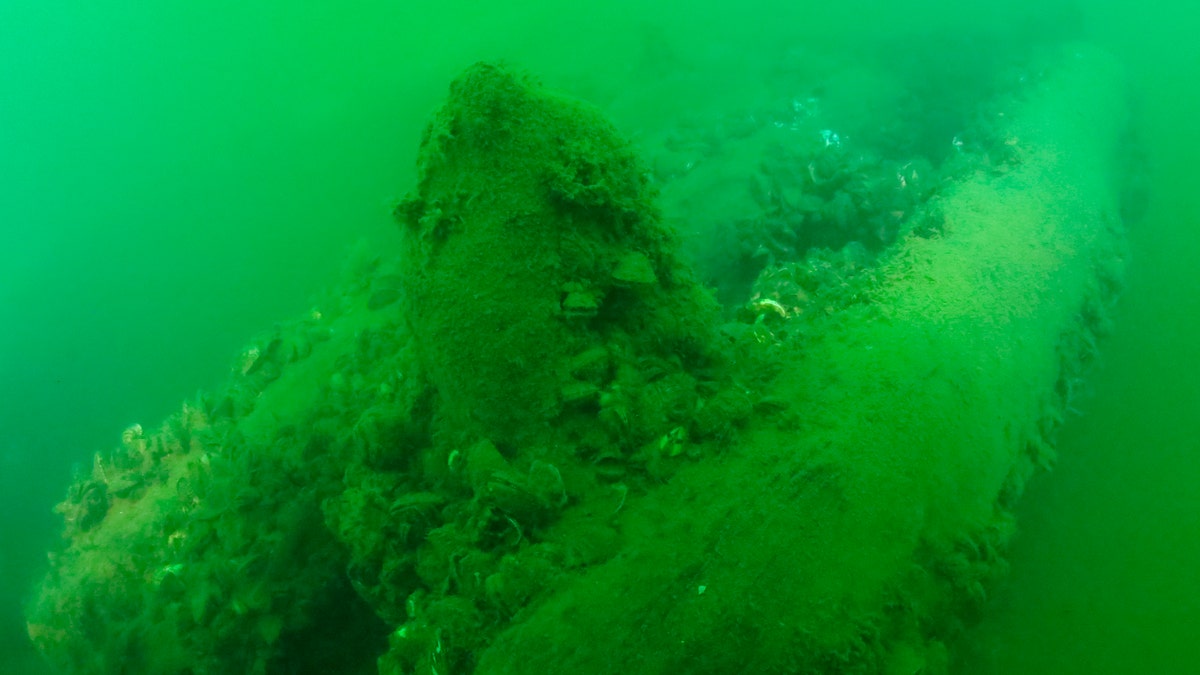 This Tuesday, Sept. 4, 2018, photo provided by Cleveland Underwater Explorers Inc. shows the remains of a shipwreck believed to be the Lake Serpent. (David M VanZandt/Cleveland Underwater Explorers Inc. via AP)