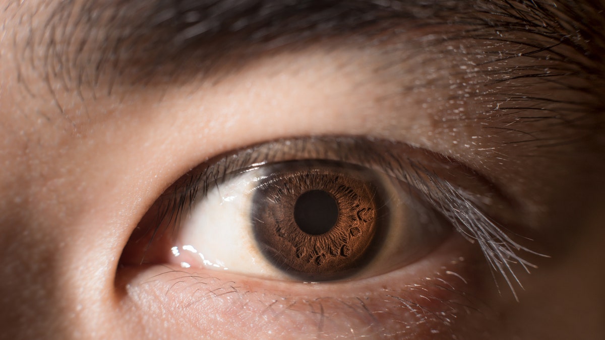 The man, who took more than the recommended 50 mg dose of the sildenafil citrate, which is commonly sold under the brand name Viagra, was diagnosed with persistent retinal toxicity, and found to have damaged his retina.