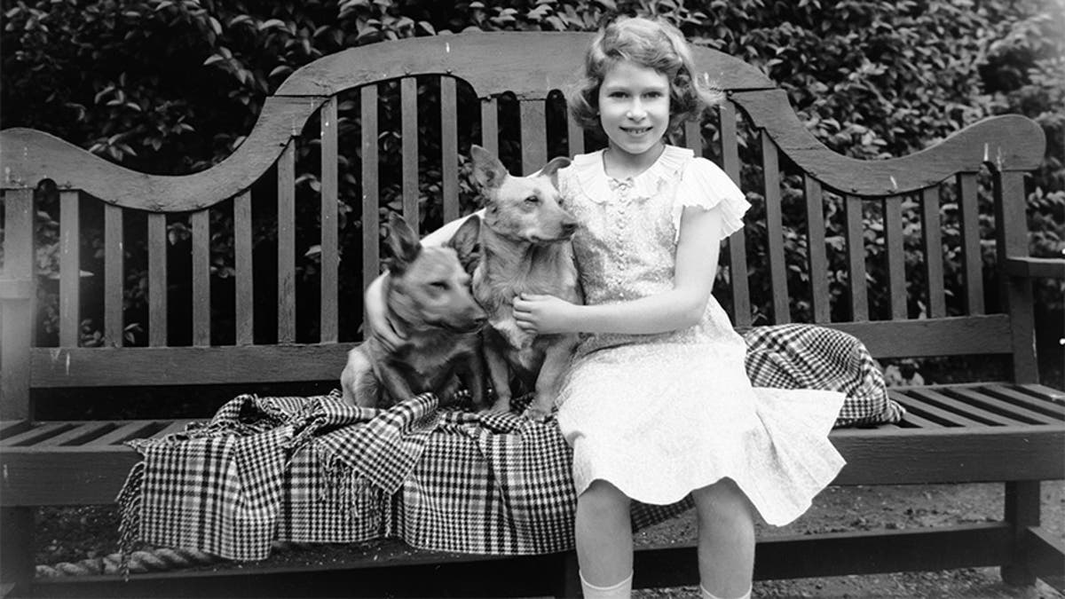 July 1936: Princess Elizabeth sitting on a garden seat with two corgi dogs at her home on 145 Piccadilly, London.