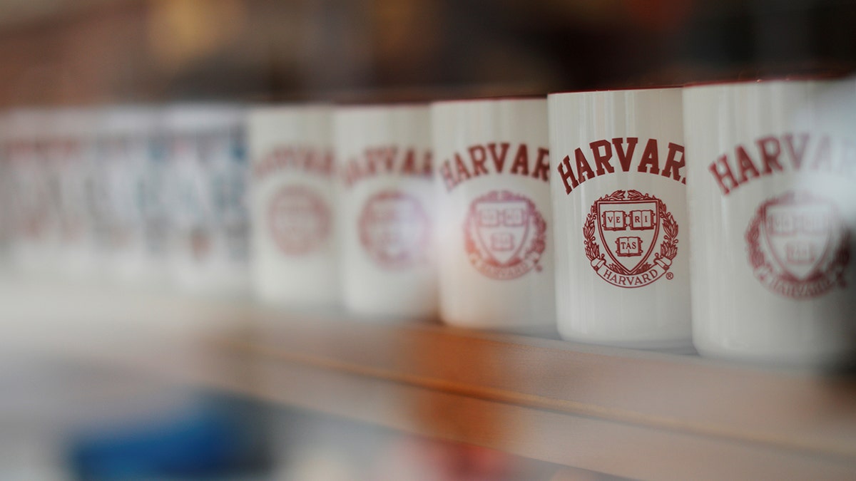 Mugs bearing the school's logo are displayed for sale outside Harvard University in Cambridge, Massachusetts, U.S., June 18, 2018. REUTERS/Brian Snyder - RC1360F0E6C0