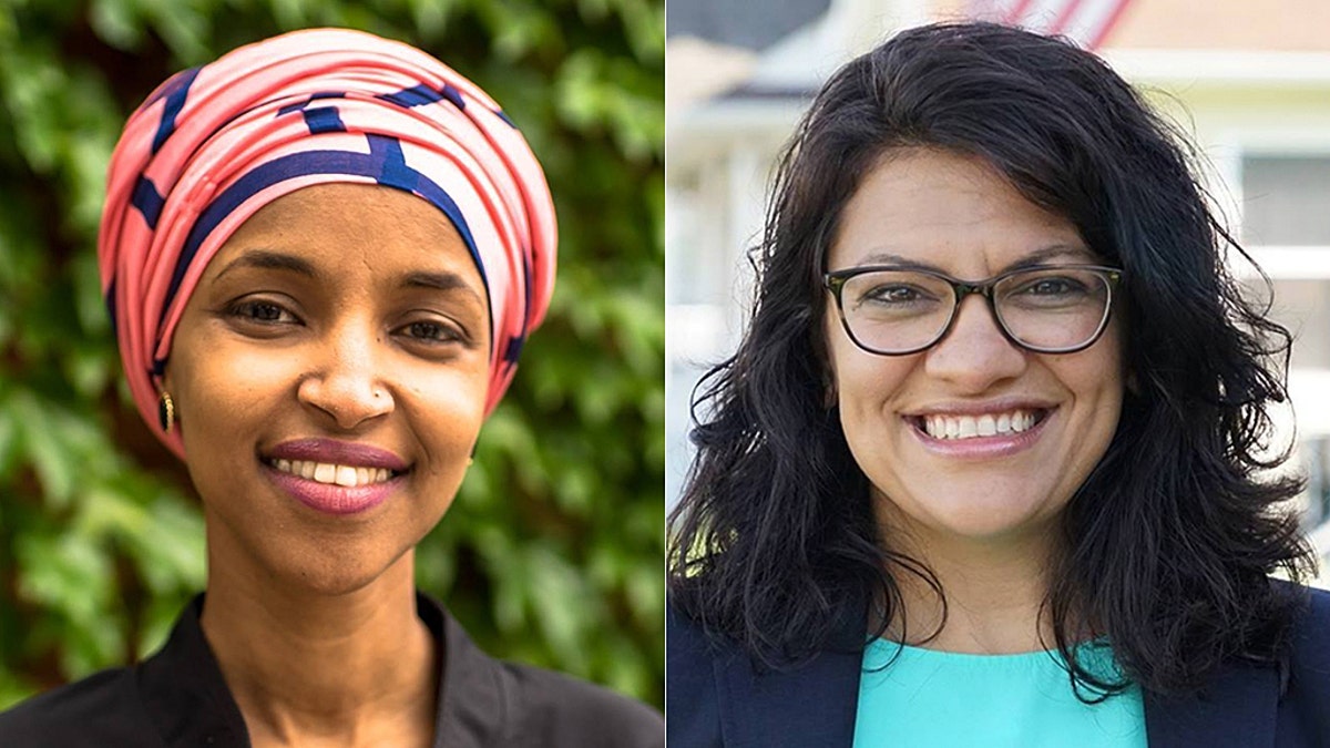 A record number of women are running for public office this year, and several are poised to make history. Ilhan Omar of Minnesota (left) and Rashida Tlaib of Michigan (right) are slated to become the first two Muslim women to serve in Congress.
