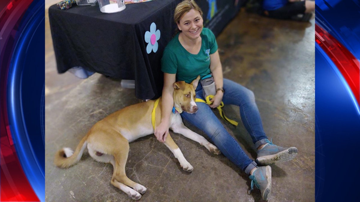 Binx the dog with a human friend.