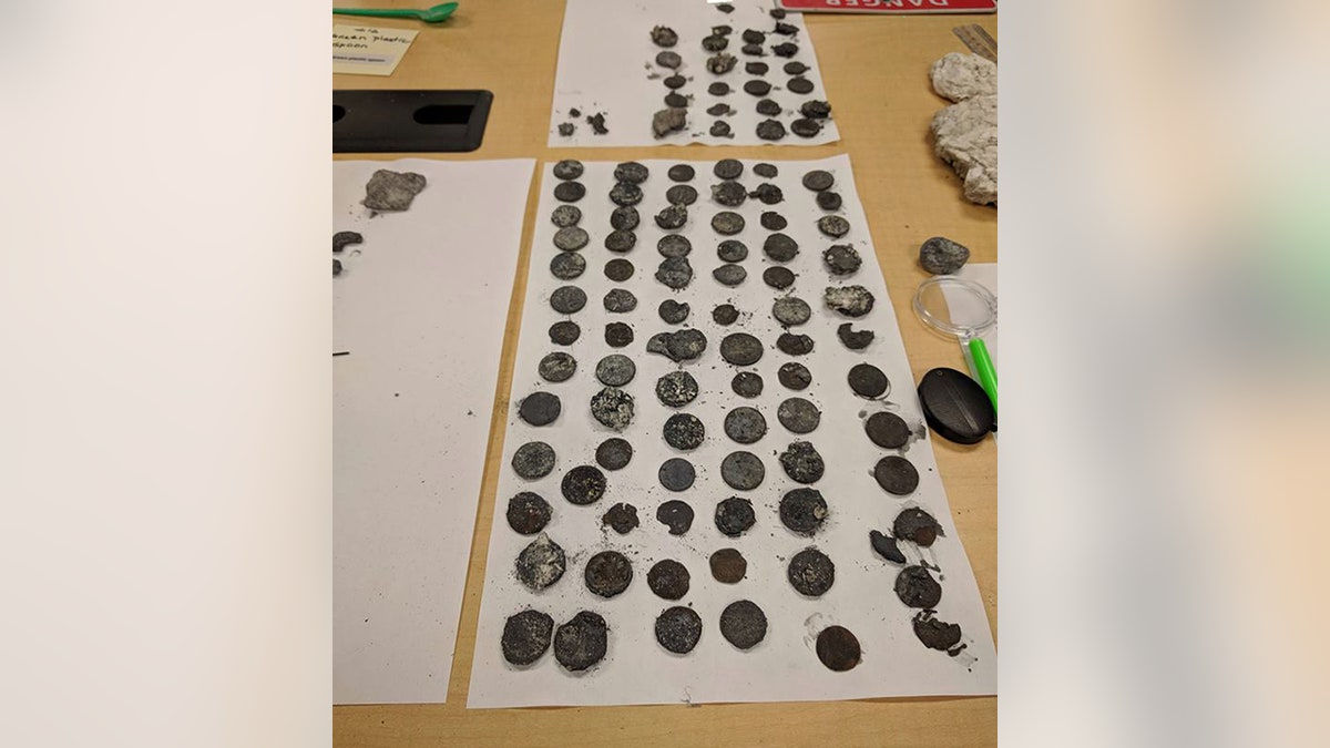 The geyser eruption also revealed coins.