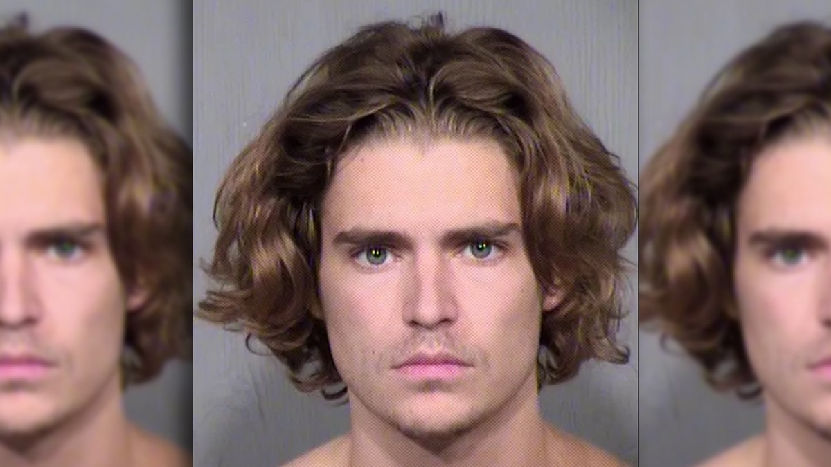 Nicholas Van Varenberg, son of Jean-Claude Van Damme, was sentenced to probation in Arizona knife incident.
