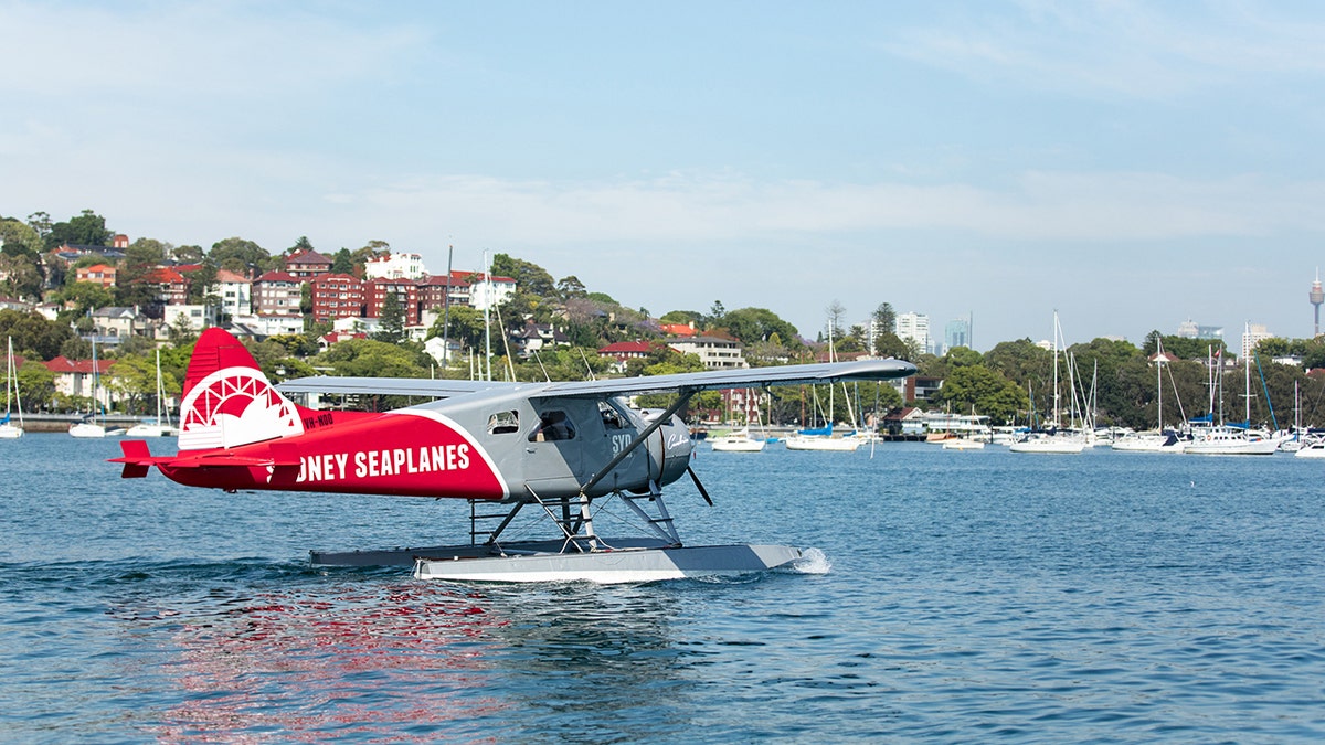 The new co-owner of Sydney Seaplanes said in a recent interview the current belief is that a passenger accidentally knocked out the pilot, possibly while taking a photo.