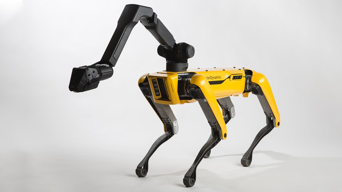 Video sales boston dynamics