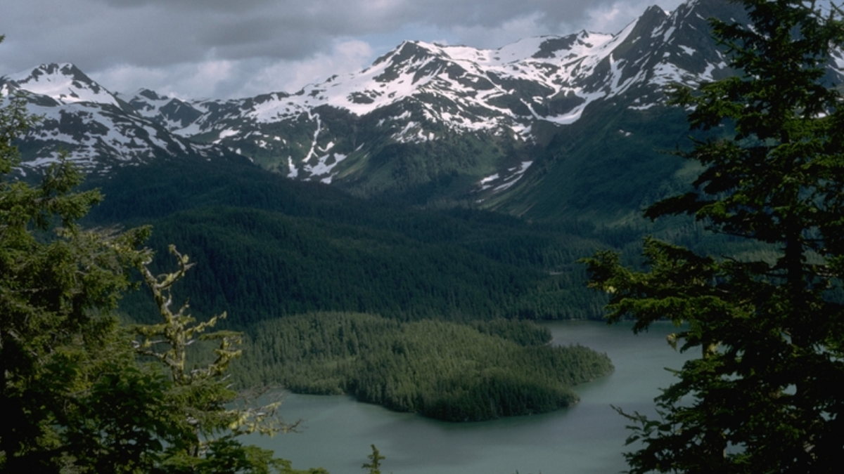 A U.S. Army soldier was injured by a falling bear near Carter Lake, Alaska