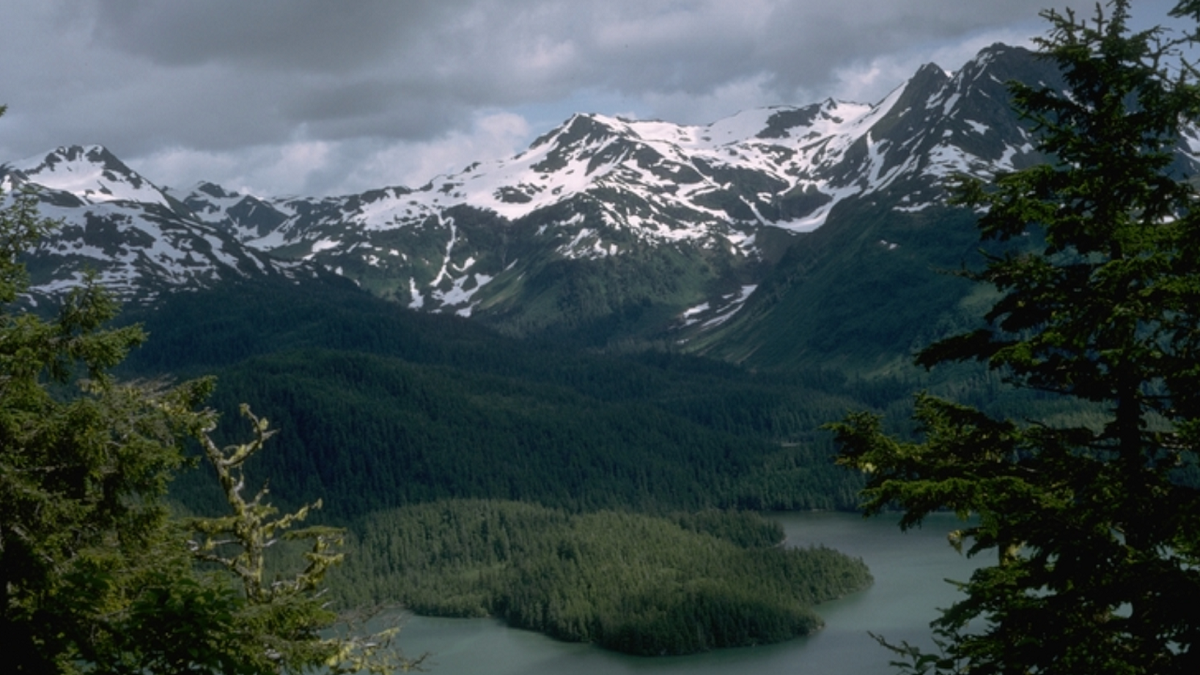 A U.S. Army soldier was injured by a falling bear near Carter Lake, Alaska