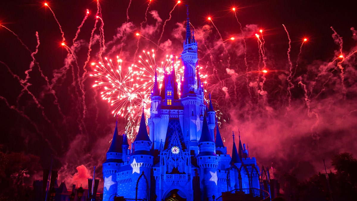 A man is suing Disney World after he got into an altercation with a park employee whom he claims ruined his marriage proposal.