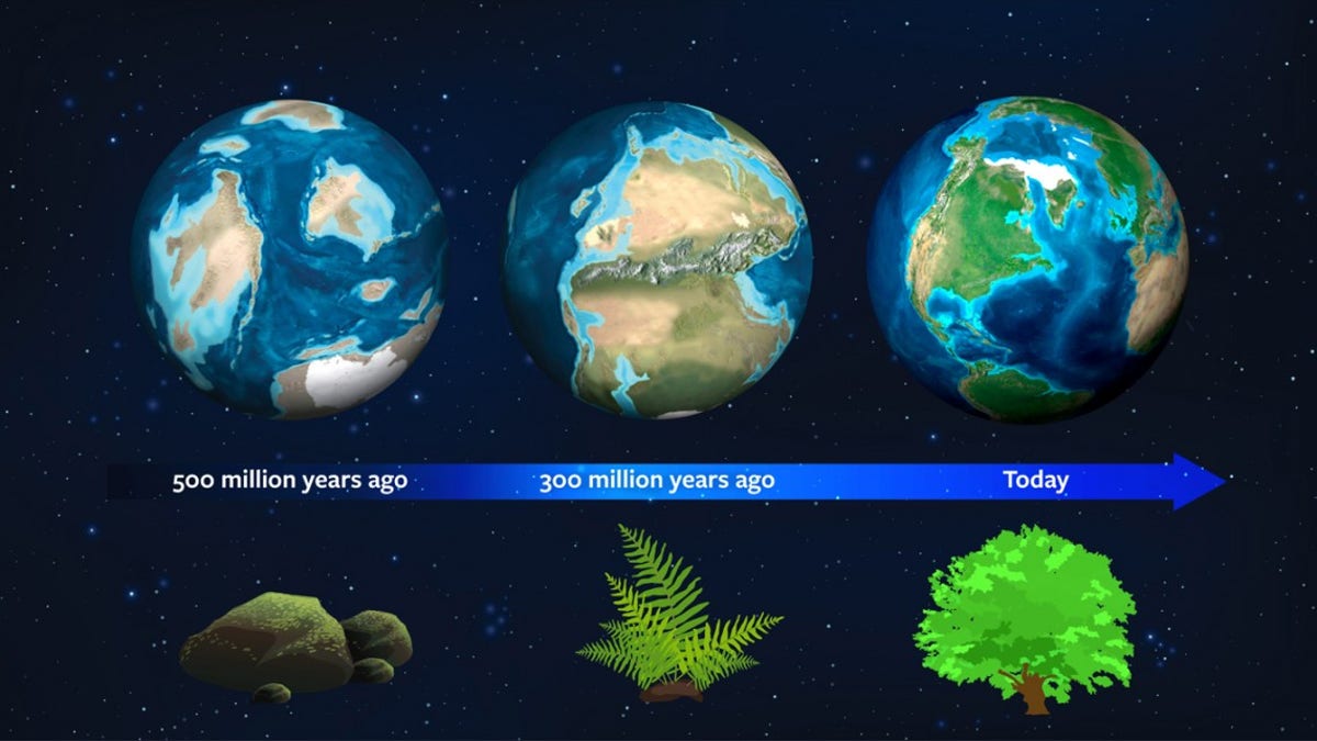 Earth's history could be used to spot plant life on alien worlds