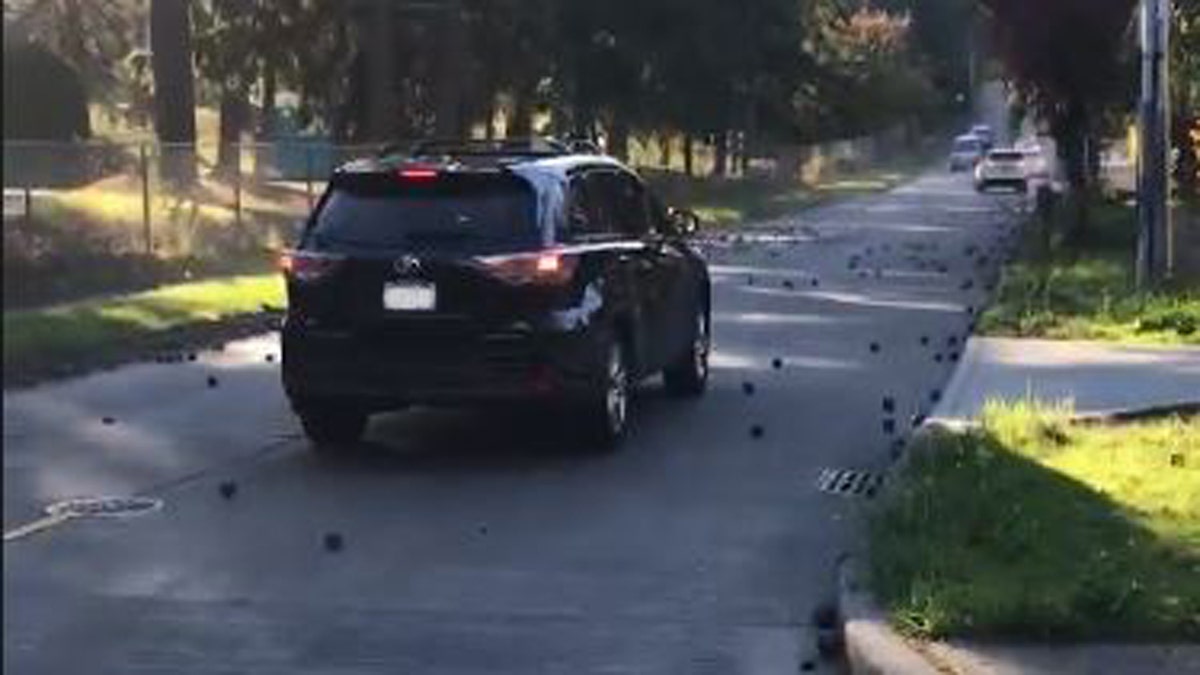 Metal balls spilled out of a truck in Seattle on Wednesday.