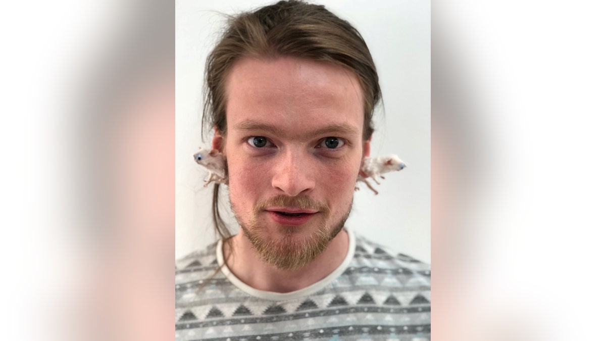 Jack Devaney, of Devon, England, said he came up with the idea as a way to use "a bunch of strong, old magnets lying around."
