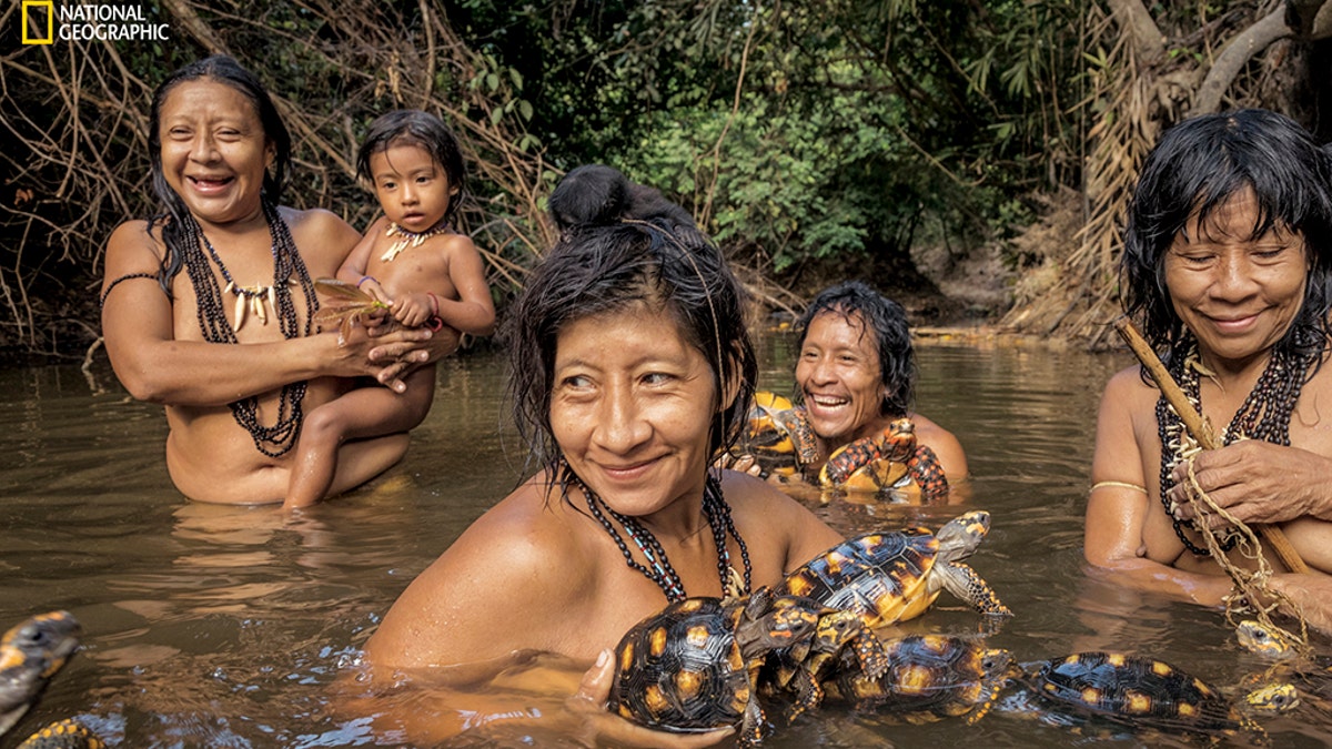 At Posto Awá, villagers enjoy a morning bath. The red- and yellow footed tortoises they’re holding will probably eventually be eaten.