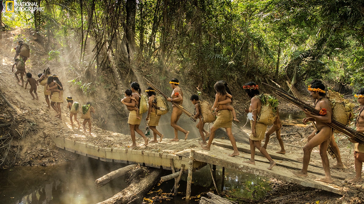 Five Awá families from Posto Awá, an outpost created by the Brazilian government’s indigenous affairs agency, set out on an overnight excursion into the forest. Awá like them who live in settled communities and miss the forest—especially older members who grew up there—make these forays to reconnect with their traditional ways. It wasn’t until 1987 that Brazil began its current no-contact policy for isolated indigenous groups.Credit: Photographs by Charlie Hamilton James / National Geographic
