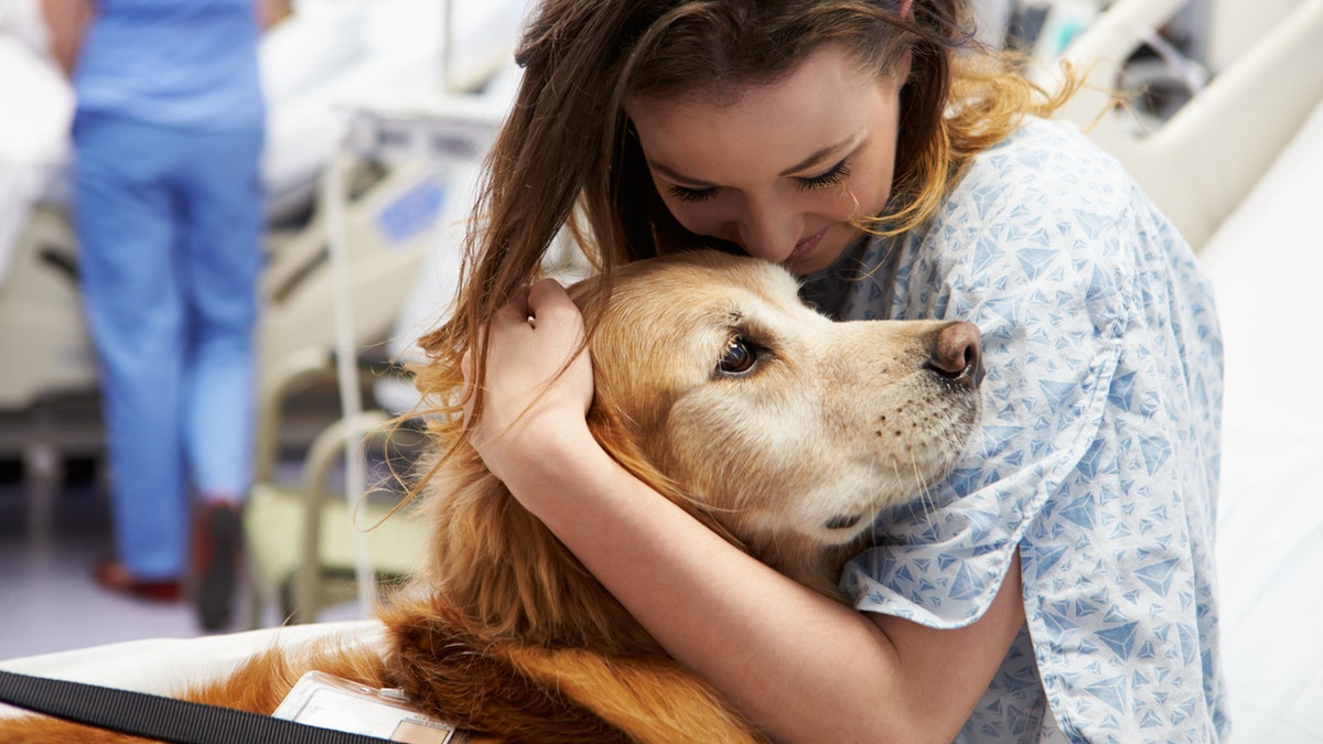 Kids who spent more time with the dogs had a 6 times greater chance of coming away with superbug bacteria than kids who spent less time with the animals.