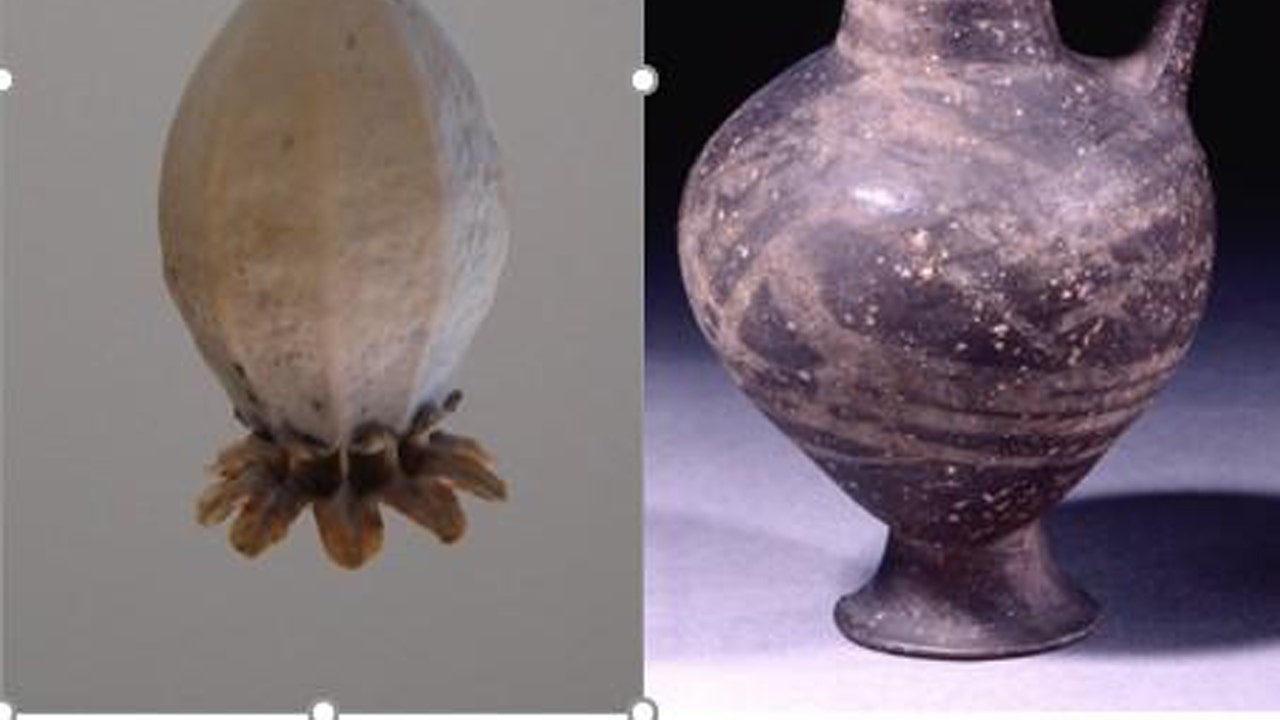 opium-jug.jpg?ve=1&tl=1