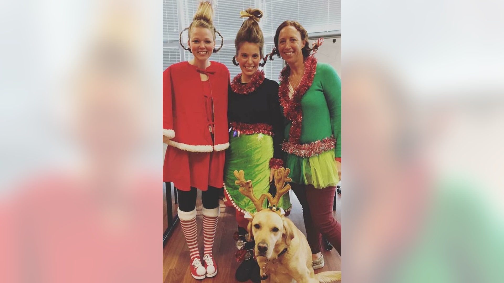 It’s Whooville in the hospital! Lorelei, Mary Ashlyn (handler), Erica had a blast with facility dog Barboza.