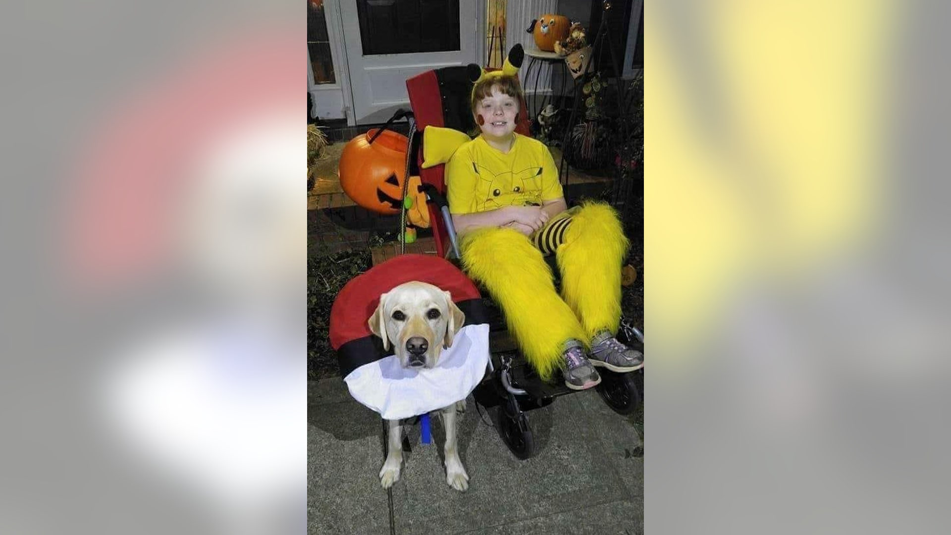 Molly as a Pikachu took her Skilled Companion Jerry out trick-or-treating as a Pokeball.