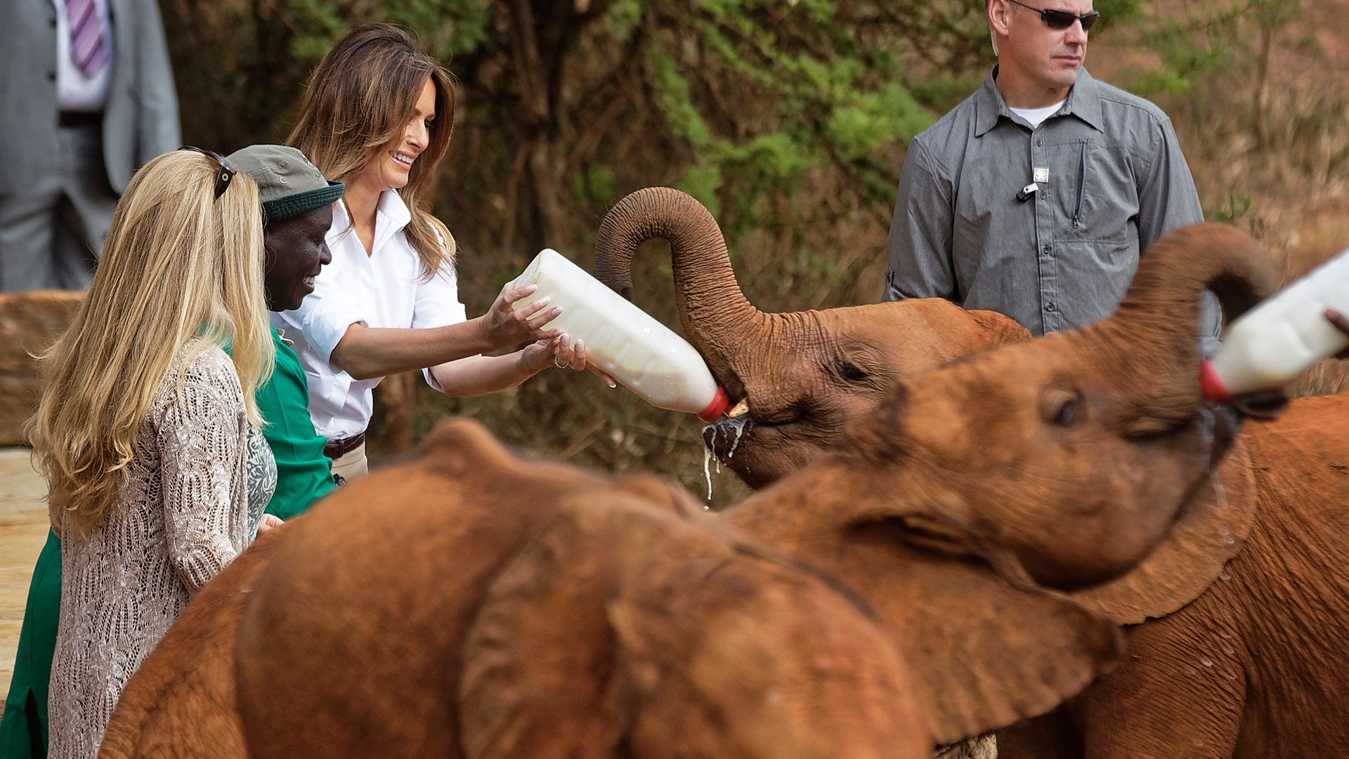 U.S. first lady Melania Trump feeds a baby elephant milk with a bottle, at the David Sheldrick Wildlife Trust elephant orphanage in Nairobi, Kenya Friday, Oct. 5, 2018. (AP Photo/Ben Curtis, Pool)