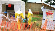 Deadly Ebola-like Marburg virus could ‘spread far and wide’ if not stopped: WHO