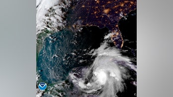 As Hurricane Michael hits Florida, live surf cam videos show impact
