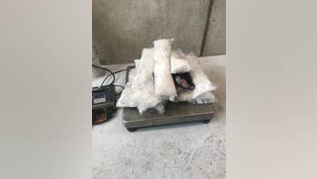 Roughly $233G of alleged meth seized by Customs and Border Protection officers, agency says