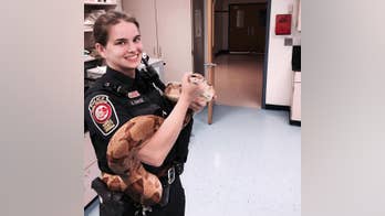 Snake escapes Virginia high school’s science lab, sets off motion detectors