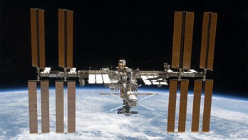 NASA study finds herpes viruses reactivate in astronauts, what causes flare-ups in space