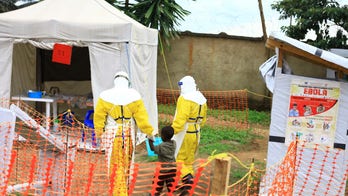 Deadly Ebola-like Marburg virus could ‘spread far and wide’ if not stopped: WHO