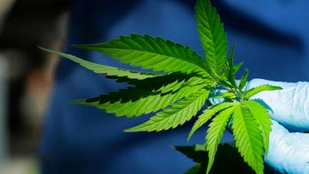 North Dakota women could buy marijuana-infused ‘inserts’ for menstrual pain if recreational measure passes