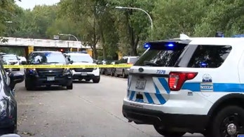 Rash of violence in Chicago's wealthy areas overlooked, have 'too much wealth': Lawmaker