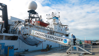 Scientists to explore new sites in Puerto Rico, USVI waters
