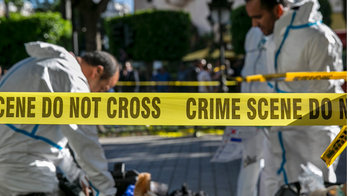 Female suicide bomber wounds 9 in Tunisia's capital