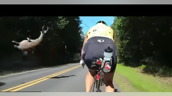 Oh, deer! Camera captures animal flying toward cyclists after being hit by car