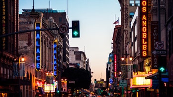 Flea-borne typhus disease reported in downtown LA, officials say