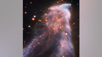 ‘Ghost’ in space: NASA’s Hubble telescope captures stunning nebula pic