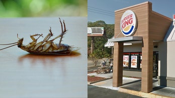 Burger King customer claims Whopper contained dead cockroach: 'I heaved a little bit'
