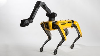 Boston Dynamics creepy robot dog is patrolling parks to encourage social distancing