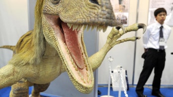 Dinosaurs may have had bird-like 'superlungs'