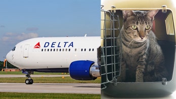 Family claims Delta prioritized cats over allergic passenger: 'That's appalling to me'