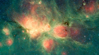 NASA snaps incredible photo of cat's paw nebula
