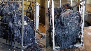 South Carolina officials warn about 'flushable' wipes after sending divers into 'raw sewage'