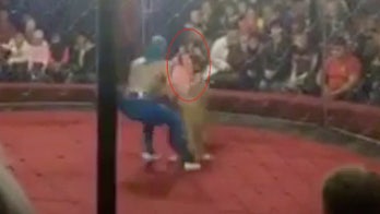 Lion attack at Russian circus leaves 4-year-old in intensive care: 'There is a bite on her face that goes from ear to chin'