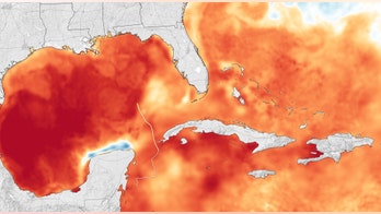 Hurricane Michael: NASA shows off 'extremely dangerous' storm in mind-blowing images