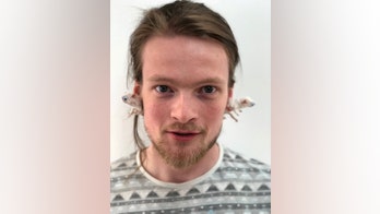 Taxidermist turns dead mice into earrings, refrigerator magnets