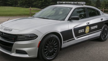 North Carolina state trooper killed, suspect in custody: report