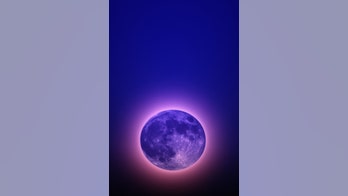 Aliens could be purple, new study says