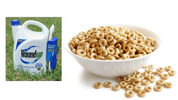 Popular breakfast foods contain active ingredient found in Roundup weed killer, study finds